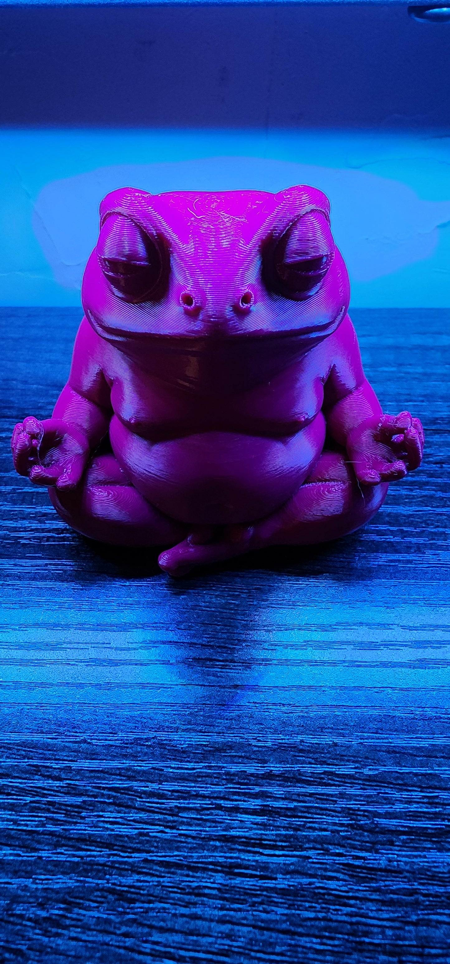 Zen Frog