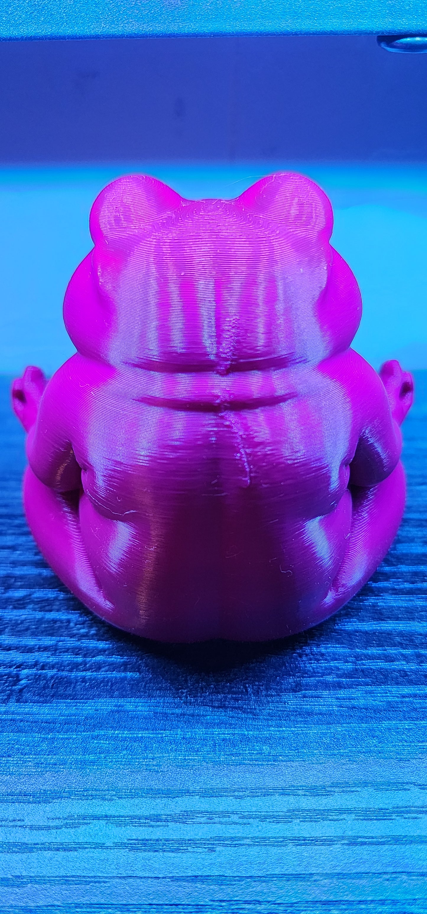 Zen Frog